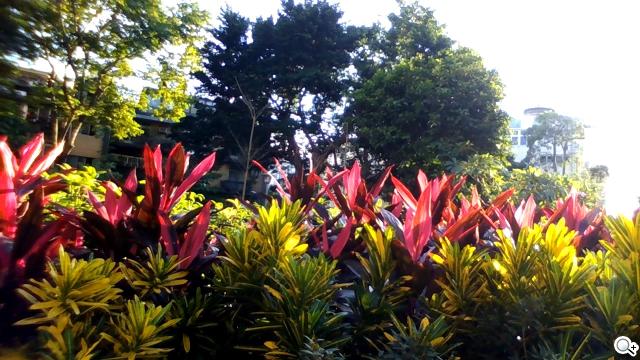 Sony VAIO Fit系列平板筆電 輕鬆翻面變換使用 Sony VAIO Fit系列平板筆電 輕鬆翻面變換使用