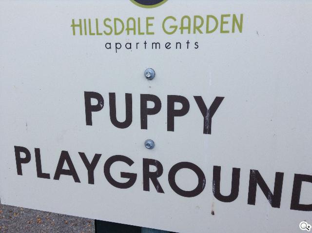 蘋果小平板iPad mini Retina、iPad mini兄弟比拼