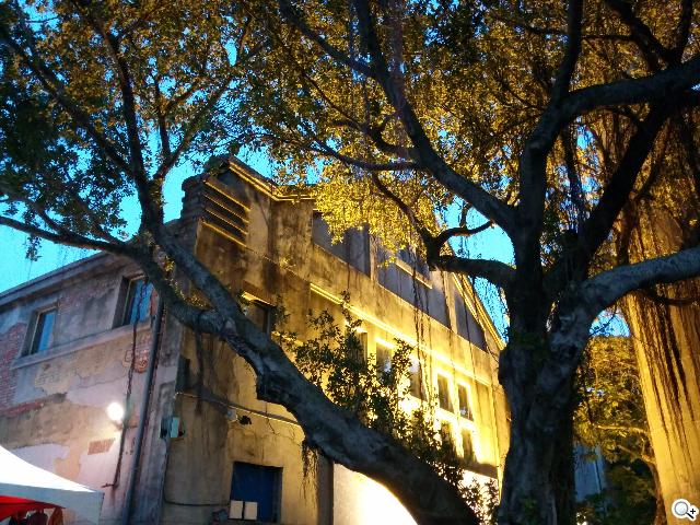 KitKat原生機Google Nexus 5、安卓4.4深度實測