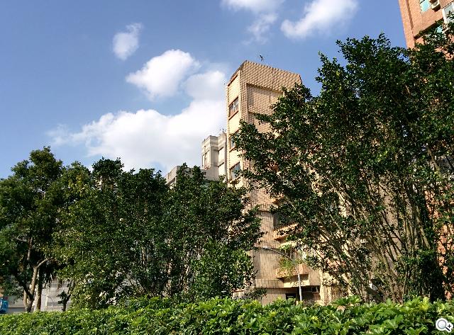 KitKat原生機Google Nexus 5、安卓4.4深度實測