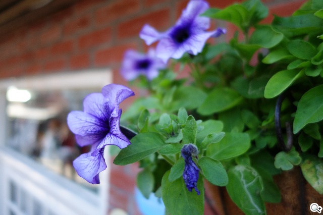 索尼QX100相機 20.2MP外掛手機 化身專業攝手