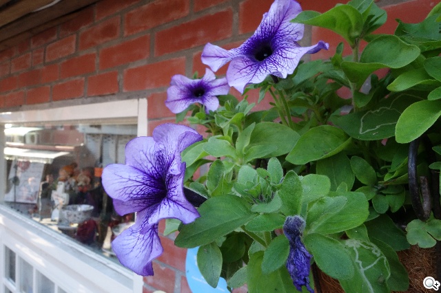 索尼QX100相機 20.2MP外掛手機 化身專業攝手