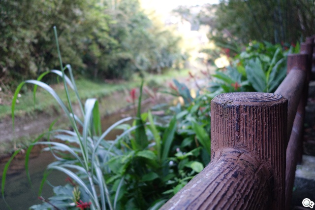 索尼QX100相機 20.2MP外掛手機 化身專業攝手