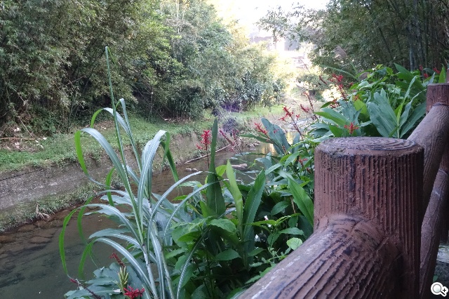 索尼QX100相機 20.2MP外掛手機 化身專業攝手