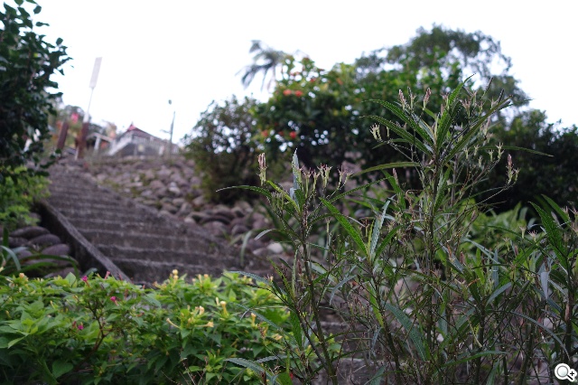 索尼QX100相機 20.2MP外掛手機 化身專業攝手