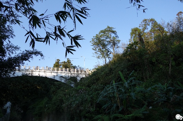 索尼QX100相機 20.2MP外掛手機 化身專業攝手