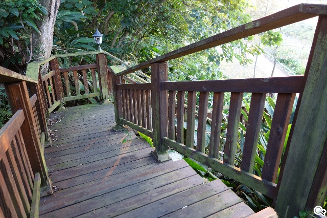 索尼QX100相機 20.2MP外掛手機 化身專業攝手