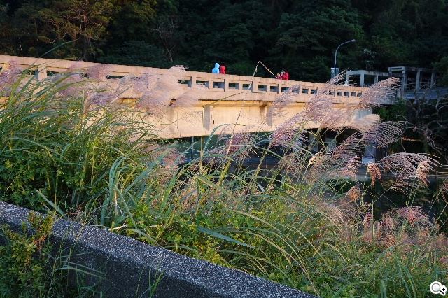 索尼QX100相機 20.2MP外掛手機 化身專業攝手