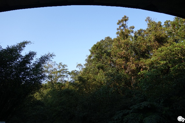 索尼QX100相機 20.2MP外掛手機 化身專業攝手