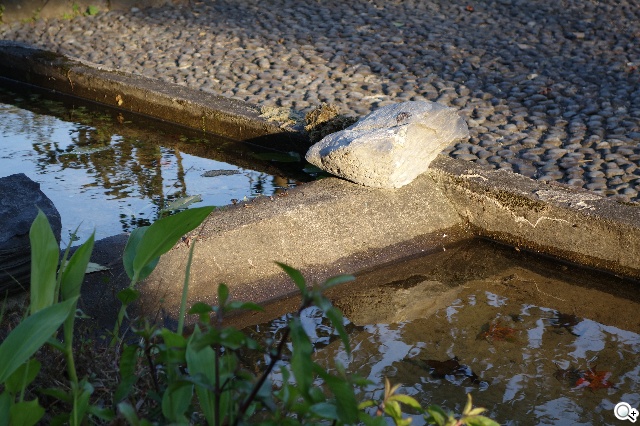 索尼QX100相機 20.2MP外掛手機 化身專業攝手