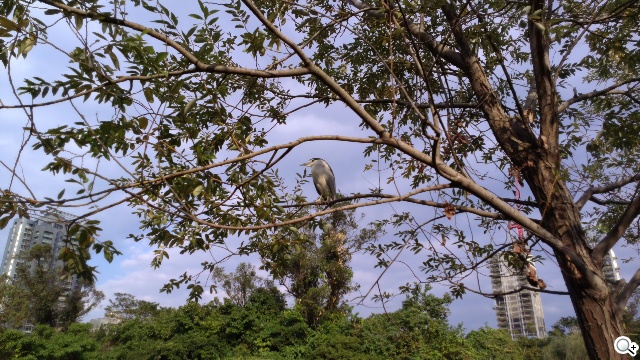 平價享受One體驗 HTC Desire 700 dual sim