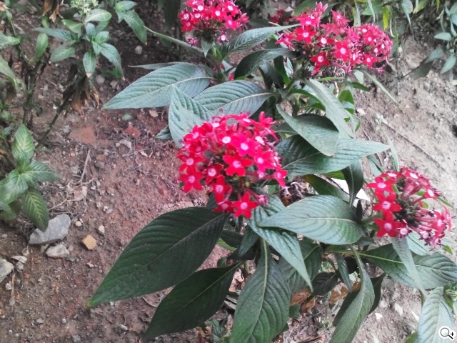 三段變身！有腳的平板Lenovo Yoga Tablet 10