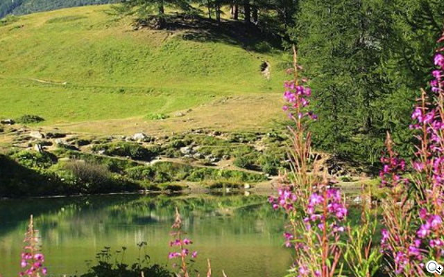 大螢幕、好持握！完全掌握LG G Tablet 8.3平板