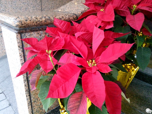 千萬畫素輕薄時尚 BenQ F3平價四核機