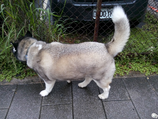 千萬畫素輕薄時尚 BenQ F3平價四核機