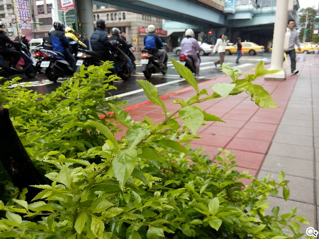 千萬畫素輕薄時尚 BenQ F3平價四核機