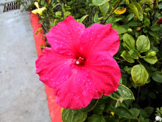 ASUS PadFone mini 4.3 雙卡機一秒變身7吋平板