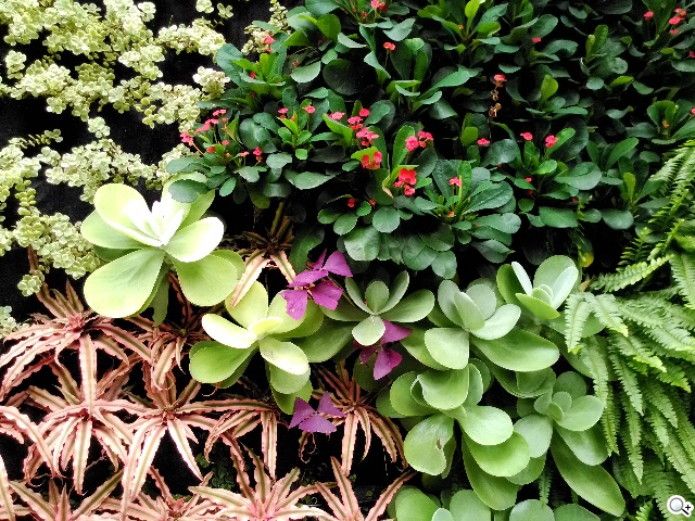 ASUS PadFone mini 4.3 雙卡機一秒變身7吋平板