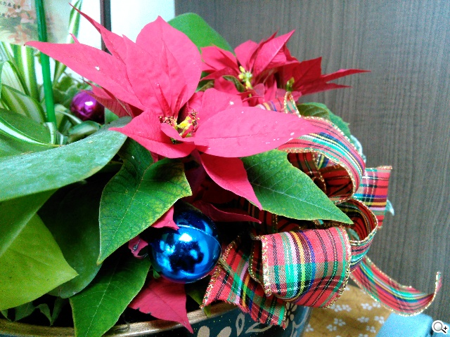 6吋旗艦Acer Liquid S2 搭載4K錄影、環型LED燈