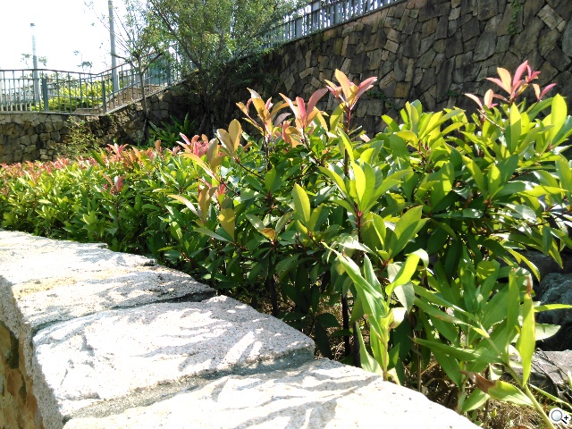 6吋旗艦Acer Liquid S2 搭載4K錄影、環型LED燈