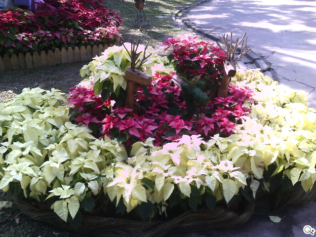 多彩靚亮雙核入門機 TWM Amazing A5C