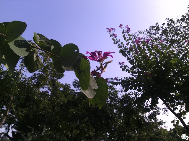 多彩靚亮雙核入門機 TWM Amazing A5C