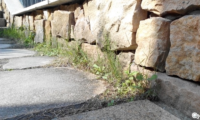 簡約、四核、5千有找 TWM Amazing A6S實測