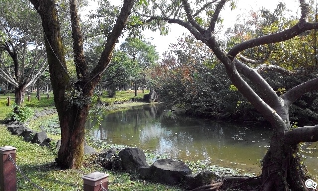 簡約、四核、5千有找 TWM Amazing A6S實測