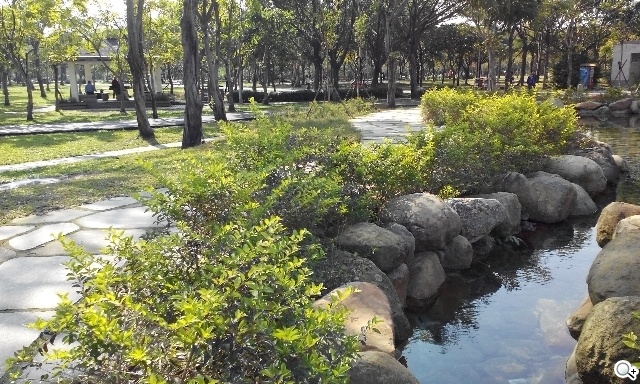 簡約、四核、5千有找 TWM Amazing A6S實測