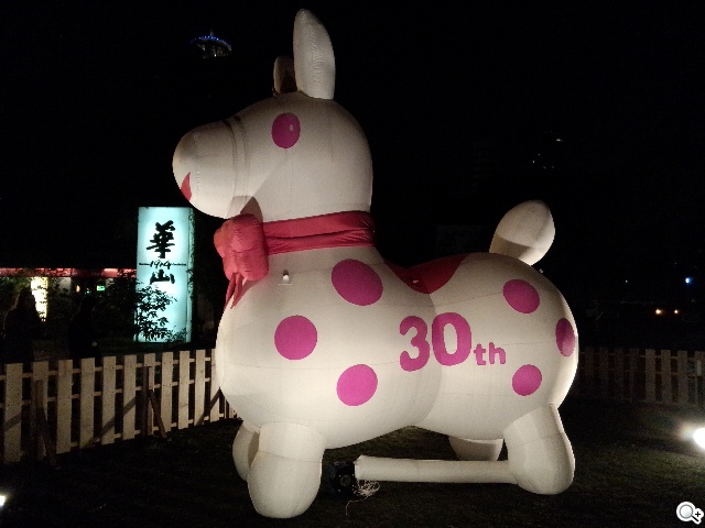 OPPO R819輕薄美型 四核雙卡機實測