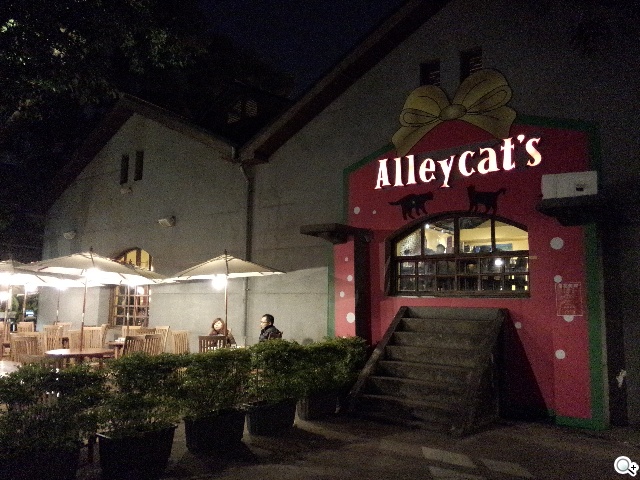 OPPO R819輕薄美型 四核雙卡機實測