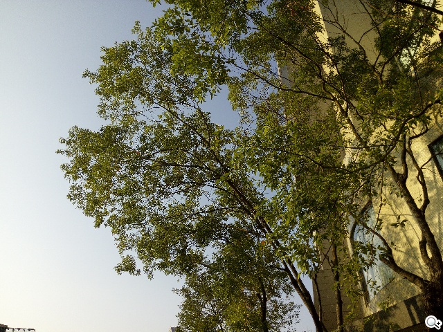 13MP雙鏡頭！真八核手機THL美猴王2實測