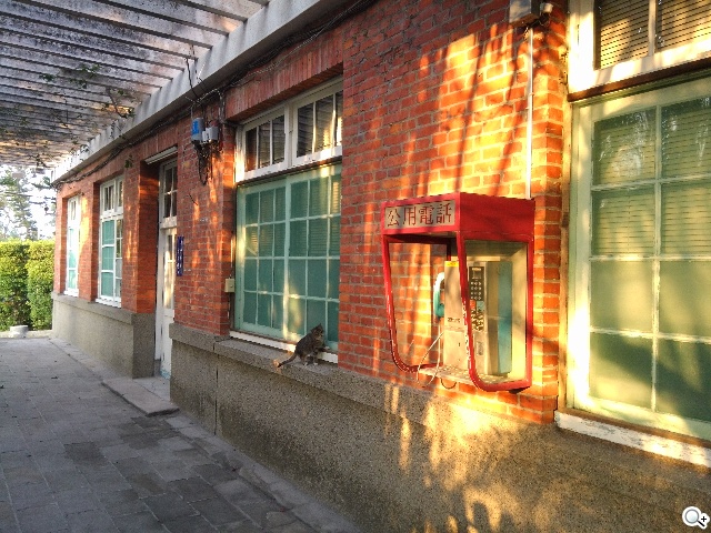 CP值破表的國產平價旗艦 InFocus IN815玩色機