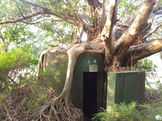 CP值破表的國產平價旗艦 InFocus IN815玩色機