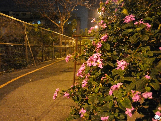 CP值破表的國產平價旗艦 InFocus IN815玩色機