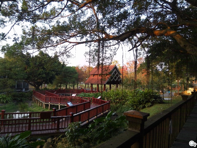 CP值破表的國產平價旗艦 InFocus IN815玩色機