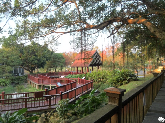 CP值破表的國產平價旗艦 InFocus IN815玩色機