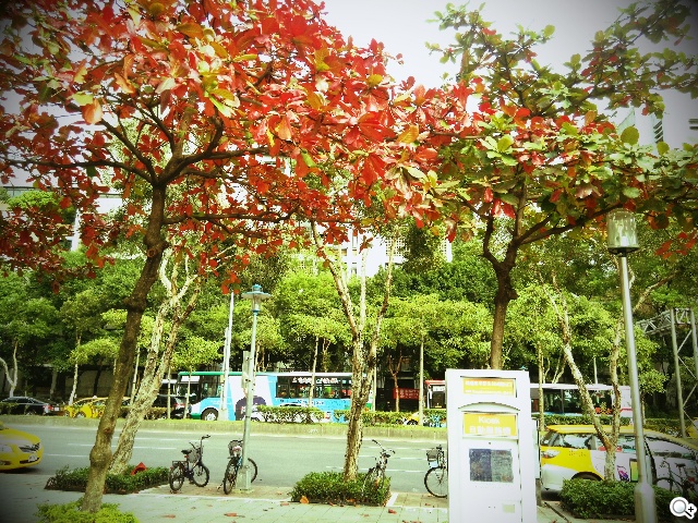 CP值破表的國產平價旗艦 InFocus IN815玩色機