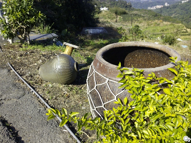 13MP雙鏡頭！真八核手機THL美猴王2實測