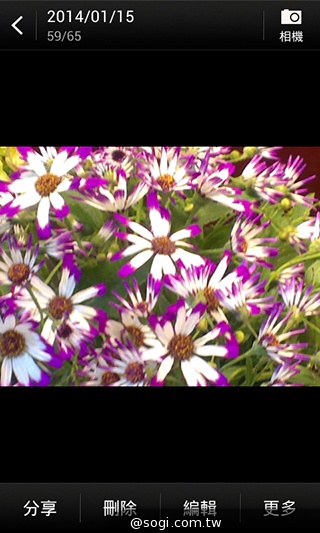 英倫風格 平價輕智慧 HTC Desire 501