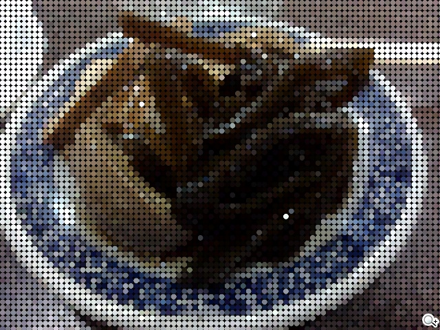 英倫風格 平價輕智慧 HTC Desire 501