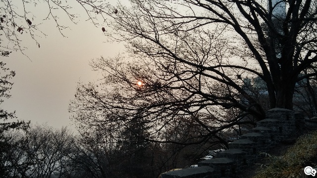 6吋可彎曲手機 LG G Flex功能大解析