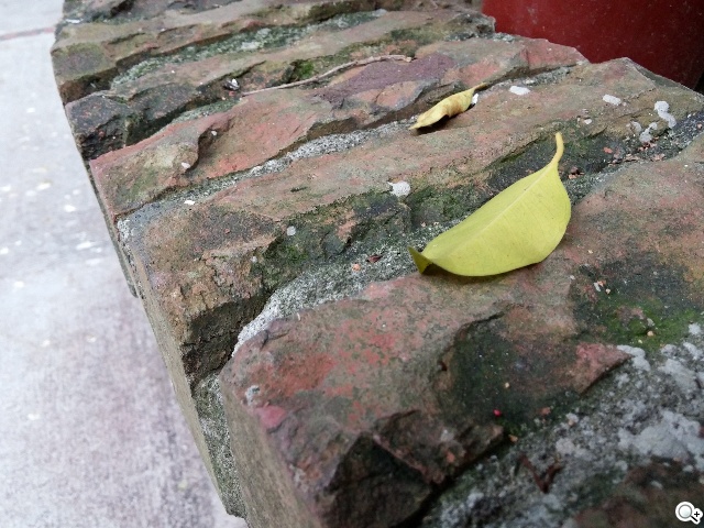 6吋可彎曲手機 LG G Flex功能大解析