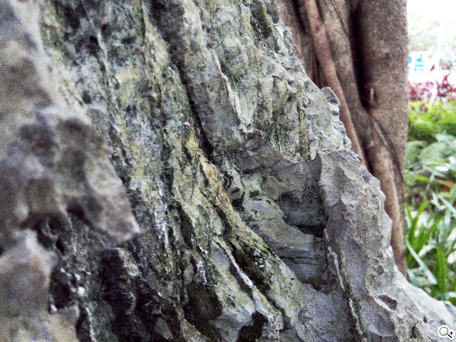 自拍神器!13MP旋轉鏡頭手機G-PLUS E7 mini速測 自拍神器!13MP旋轉鏡頭手機G-PLUS E7 mini速測