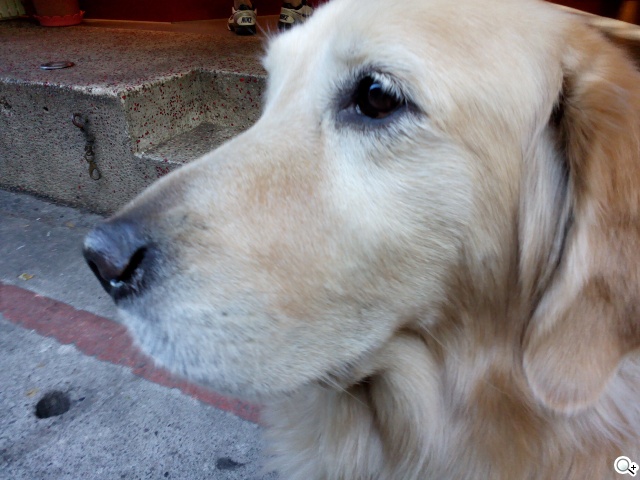 雙面觸控平價選擇 VOVO V11魔術機