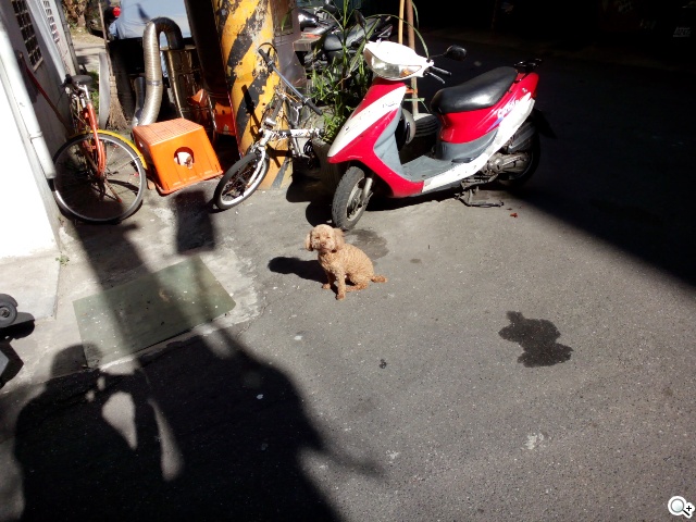 雙面觸控平價選擇 VOVO V11魔術機