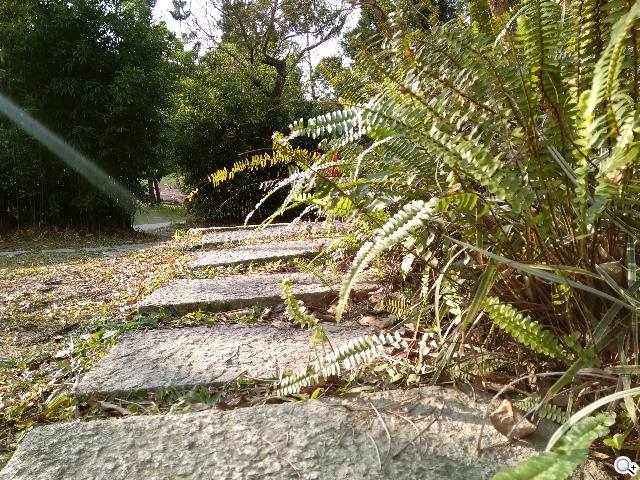 攝錄全體驗 G-PLUS E7內在功能