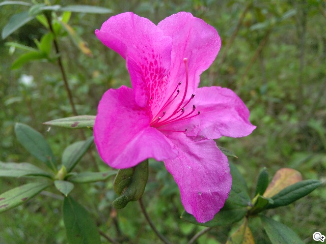 攝錄全體驗 G-PLUS E7內在功能