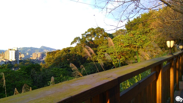 5吋雙卡入門機Acer Liquid Z5 首創快易鍵功能