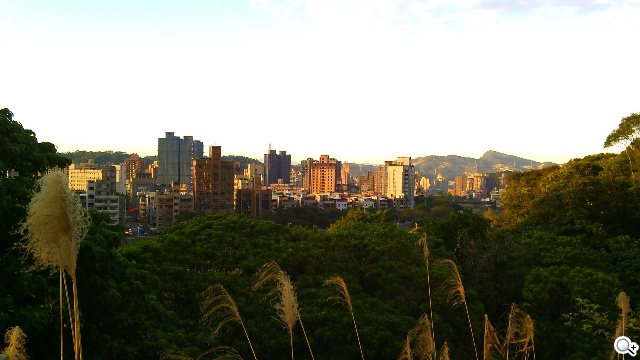 5吋雙卡入門機Acer Liquid Z5 首創快易鍵功能